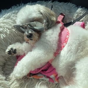 Meet your Posher, Jamie